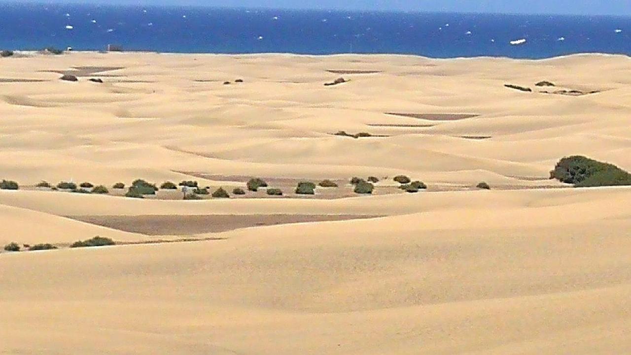 شقة Top1 Green Sea Bungalow Jardin ماسبالوماس المظهر الخارجي الصورة